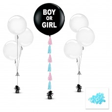 Bubble Gender Reveal (Boy)